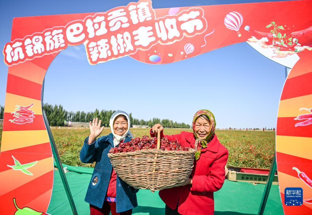 ag牛牛有吗